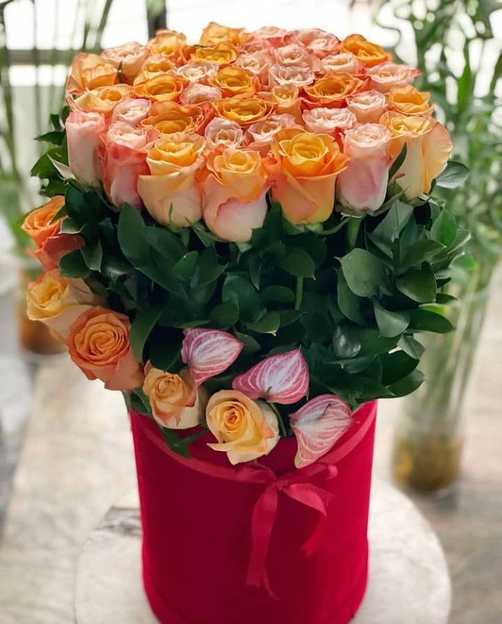 WhatsApp Image 2021-11-02 at 9.19.37 AM