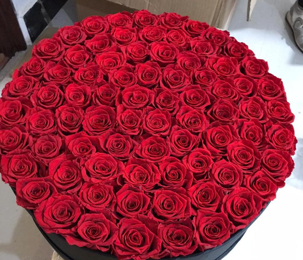 WhatsApp Image 2022-02-03 at 11.27.16 AM