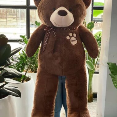 Honey Bear, teddy bear gift by Lovebug Florist Lagos