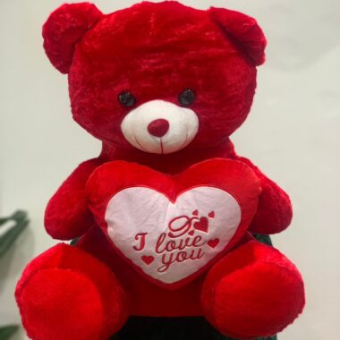 Medium Teddy 60cm, teddy bear gift by Lovebug Florist Lagos