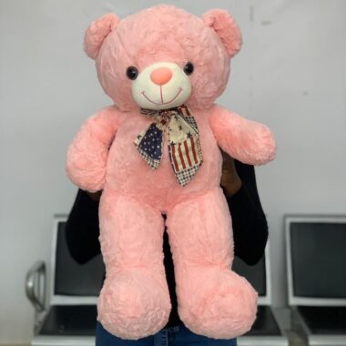 80cm Teddy, teddy bear gift by Lovebug Florist Lagos