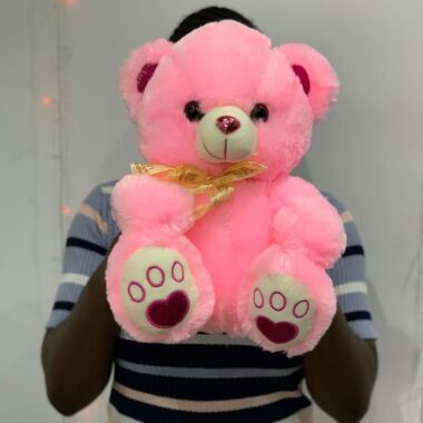 Pink Teddy 35cm, teddy bear gift by Lovebug Florist Lagos