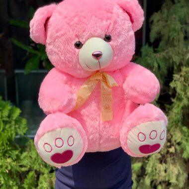 Pink Teddy 50cm, teddy bear gift by Lovebug Florist Lagos