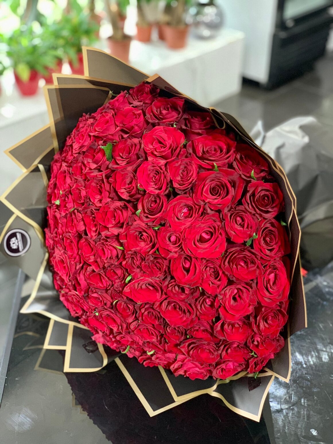Red roses, 6 facts you did not know about roses